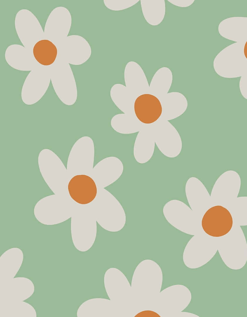 Download Cute Sage Green White Daisies With Solid Petals Wallpaper ...