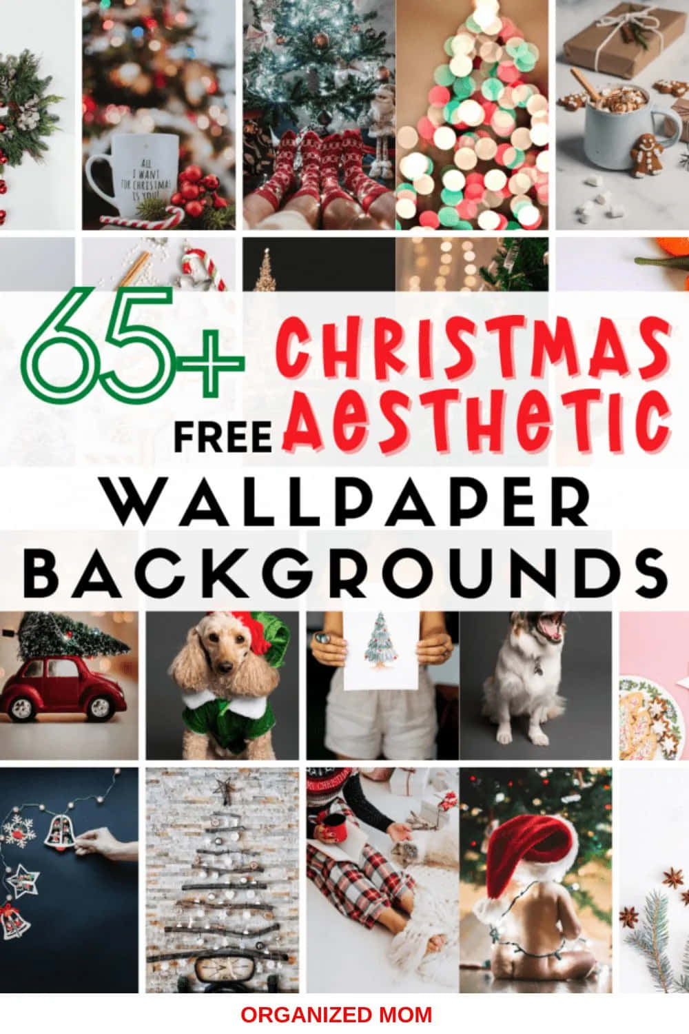 Celebrate the Holidays in Style Wallpaper