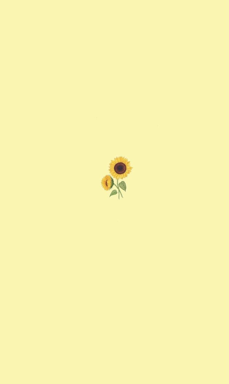 Cute Simple Sunflower Wallpaper