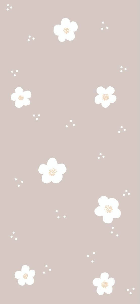 Cute Simple White Flowers Without Stems Background