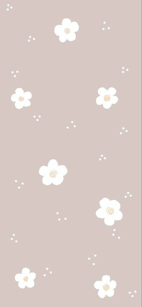 Sötaenkla Vita Blommor Utan Stjälkar. Wallpaper