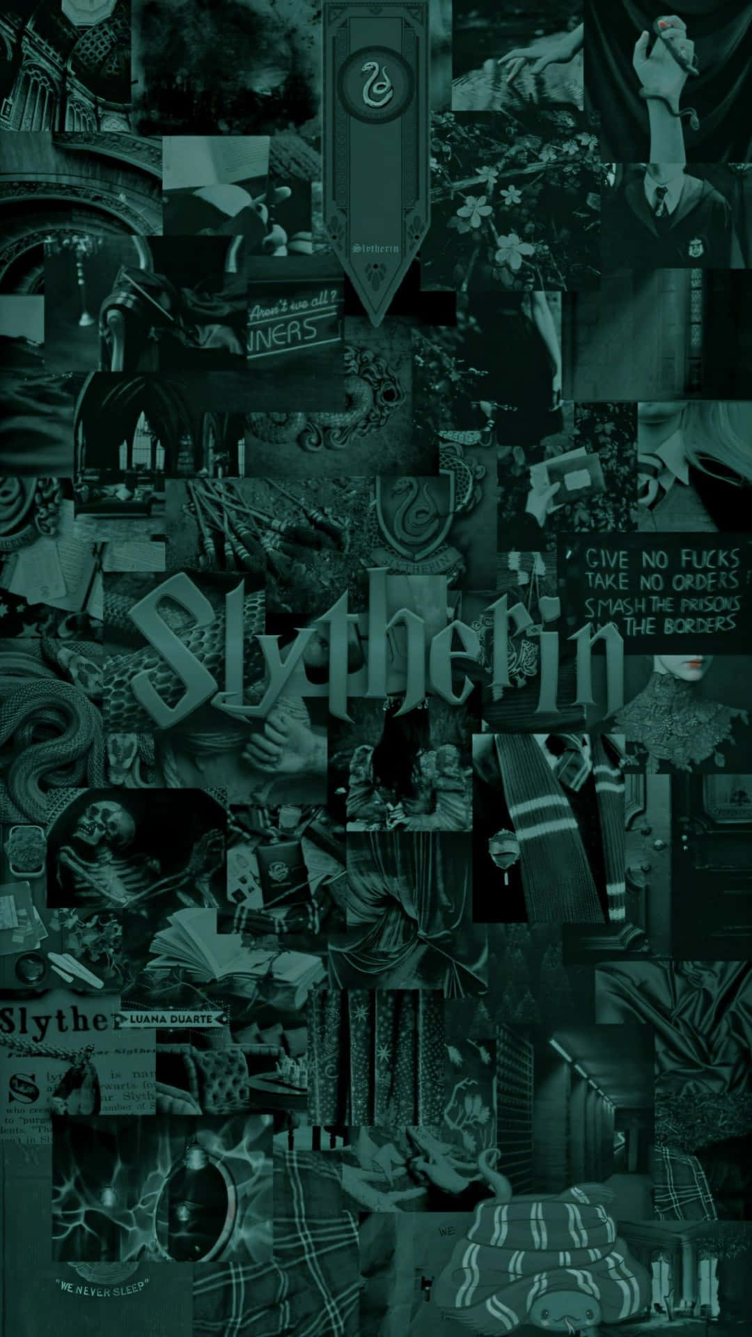 Ensöt Slytherin Med Ett Vinnande Leende Wallpaper