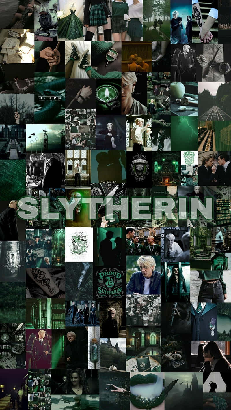 Look who’s ready for some Slytherin mischief Wallpaper
