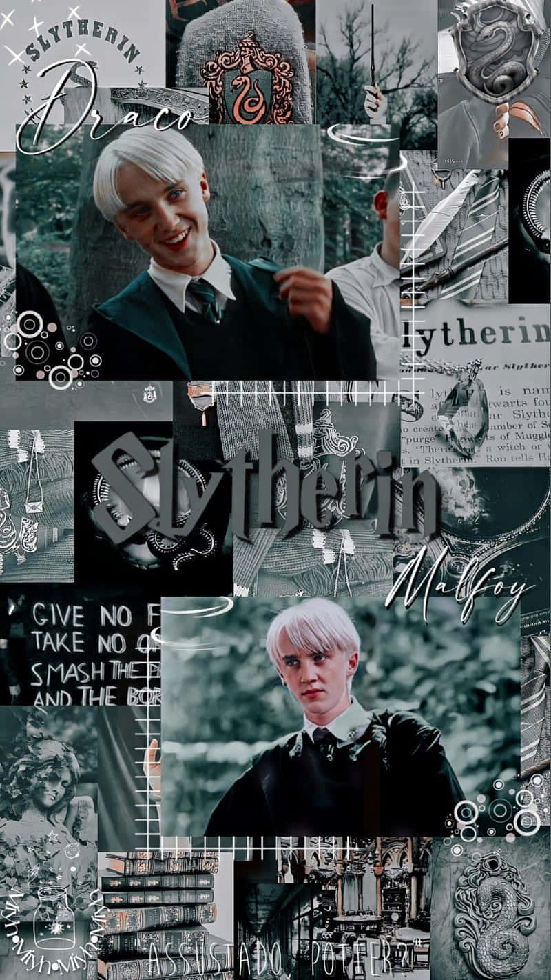 "A Slytherin's Pride of Cuteness!" Wallpaper