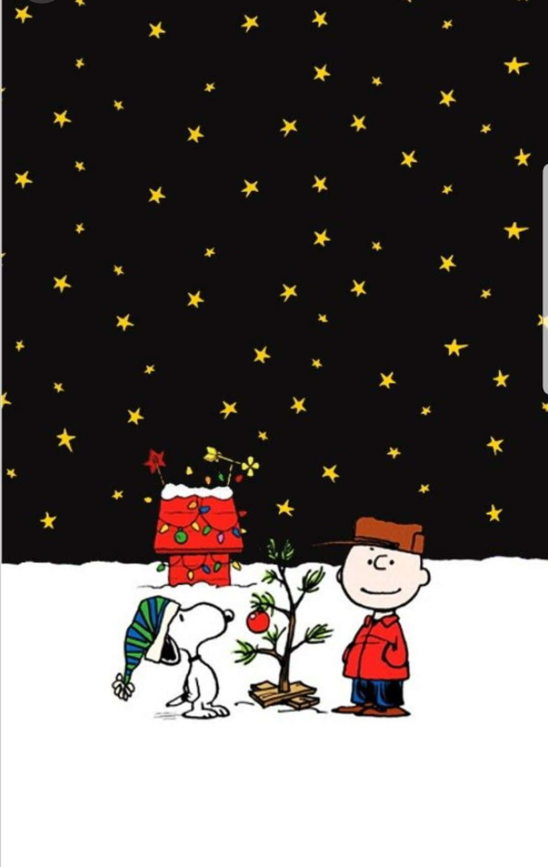 Cute Snoopy Christmas Dark Evening With Stars Wallpaper