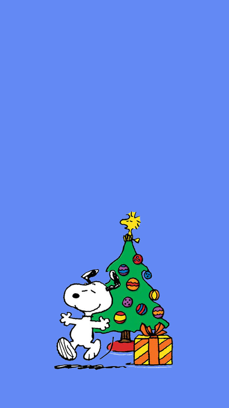 Cute Snoopy Christmas Looking Happy Wallpaper