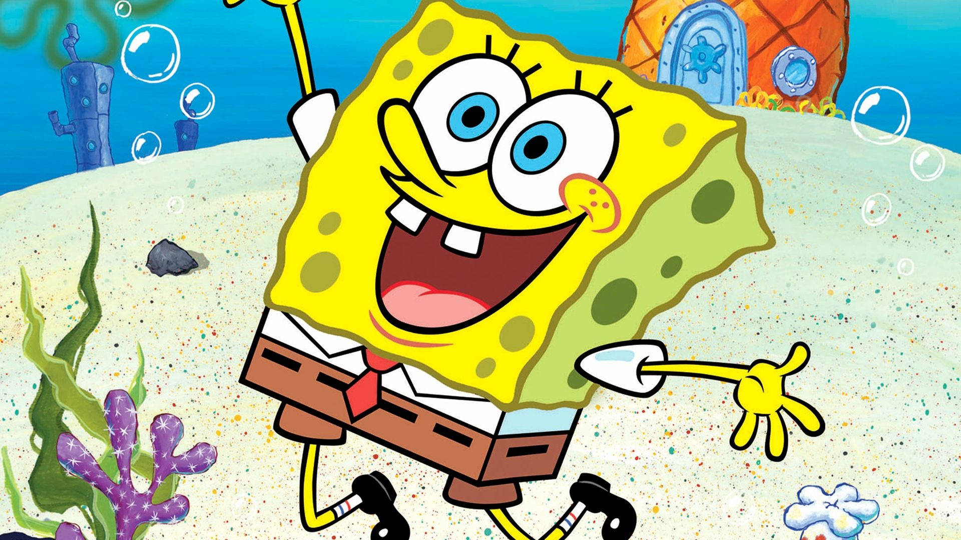 Spongebob hình nền  SpongeBob SquarePants hình nền 40604031  fanpop