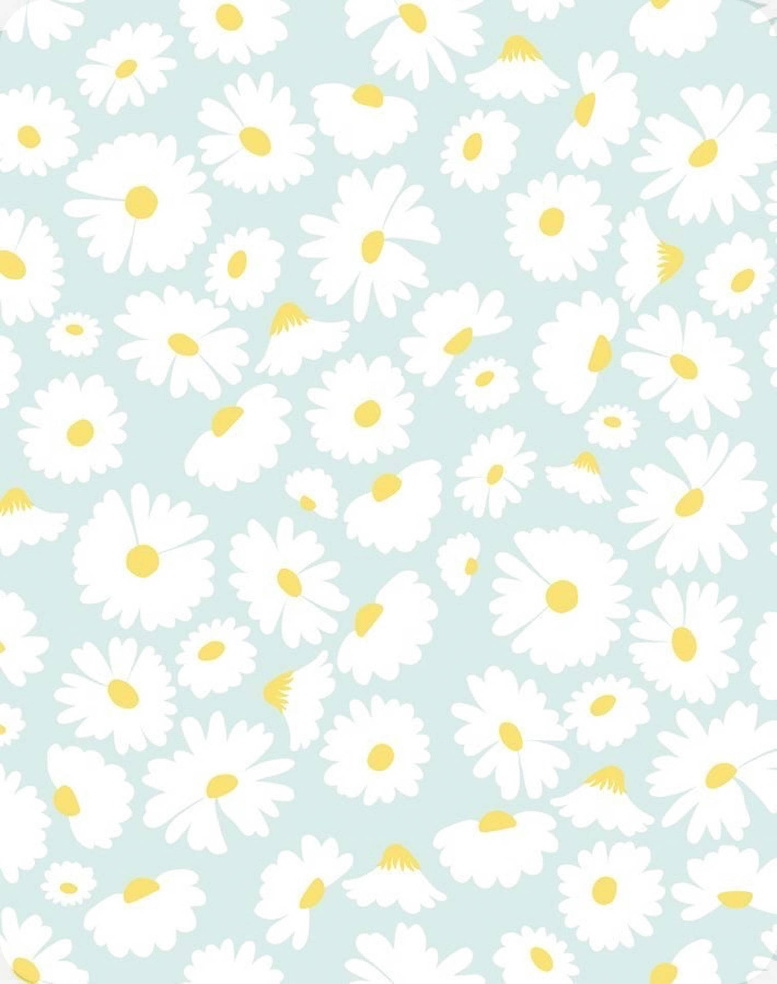 Cute Spring Daises Pattern Wallpaper