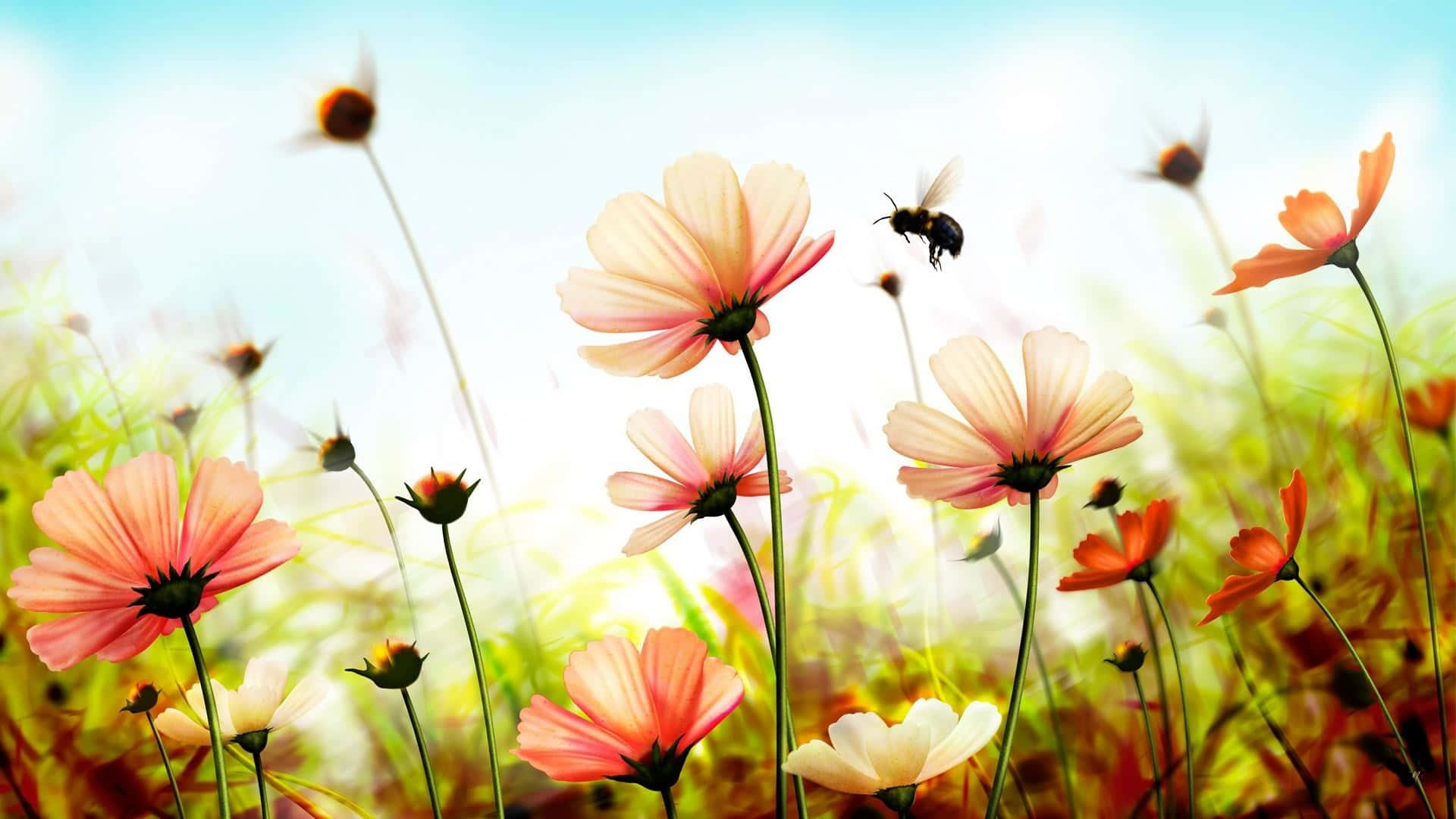 Cute Spring Desktop With Bee Wallpaper