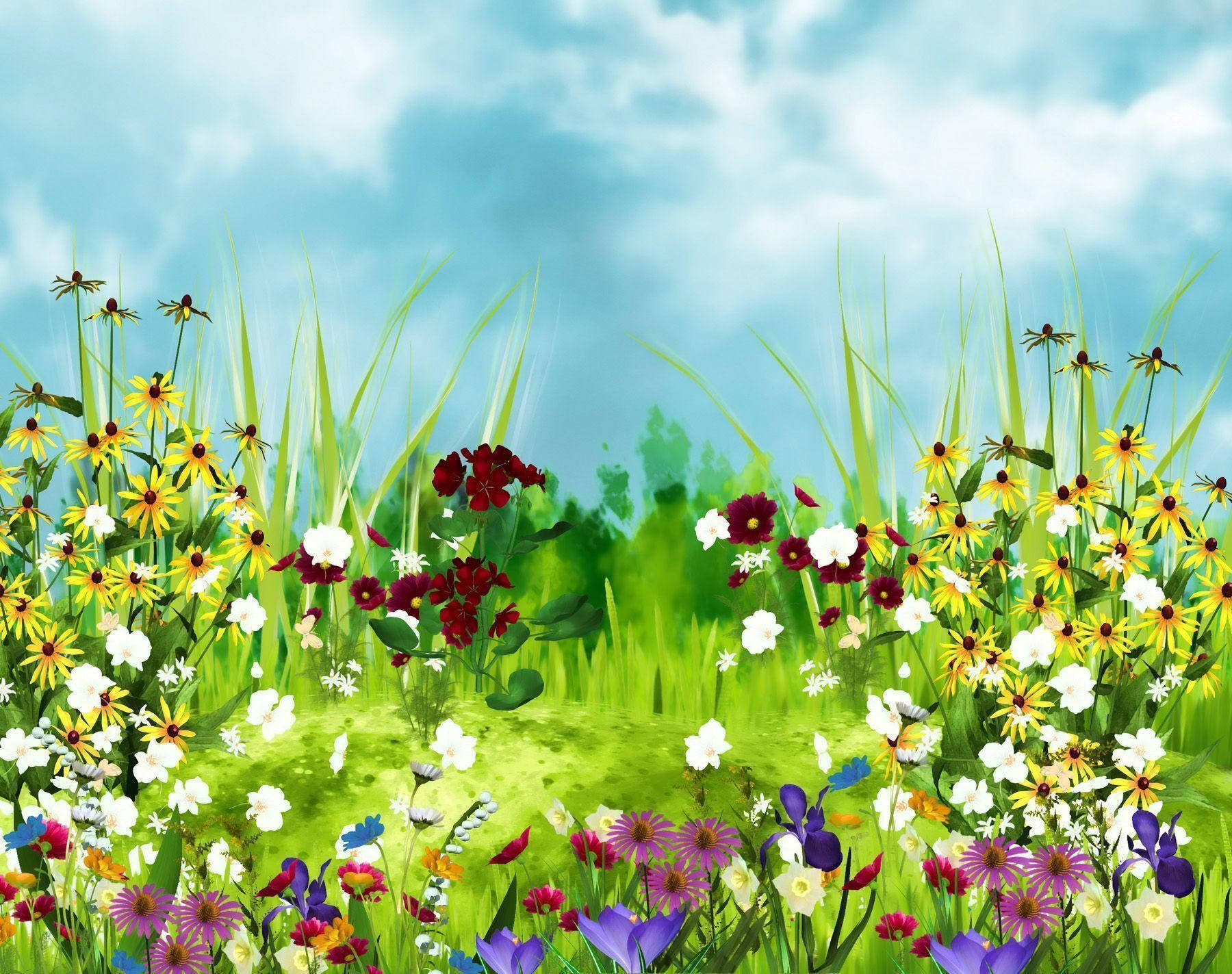 Lindoarte De Un Campo De Flores En Primavera Fondo de pantalla