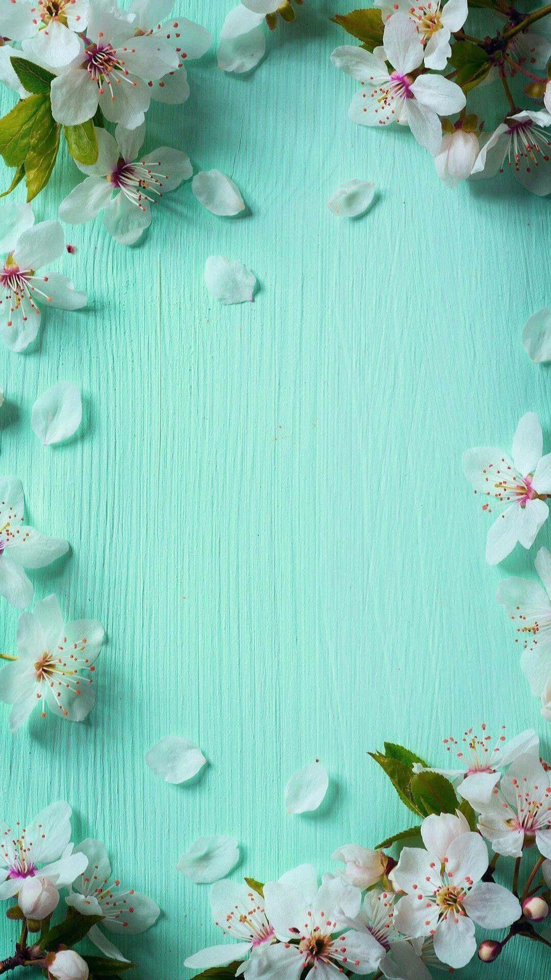 Cute Spring Mint Green Iphone Wallpaper