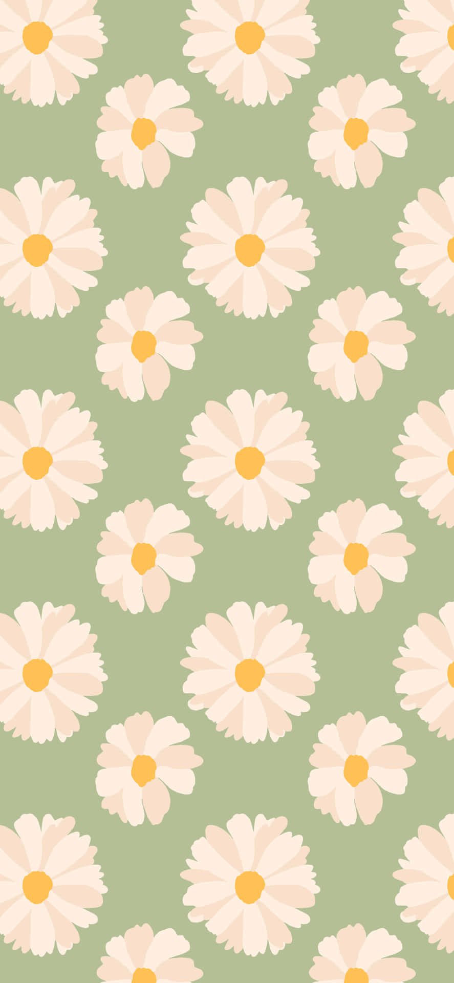 Cute Spring Daisies Iphone Wallpaper