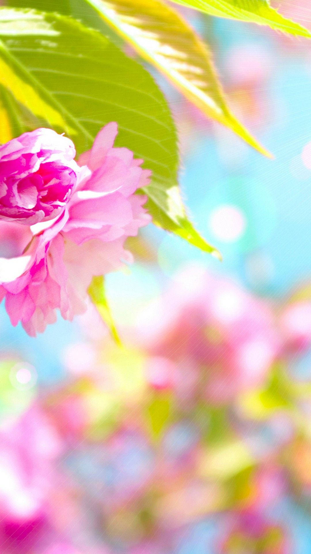 Bring On The Fun of Spring With This Cute New Phone Wallpaper