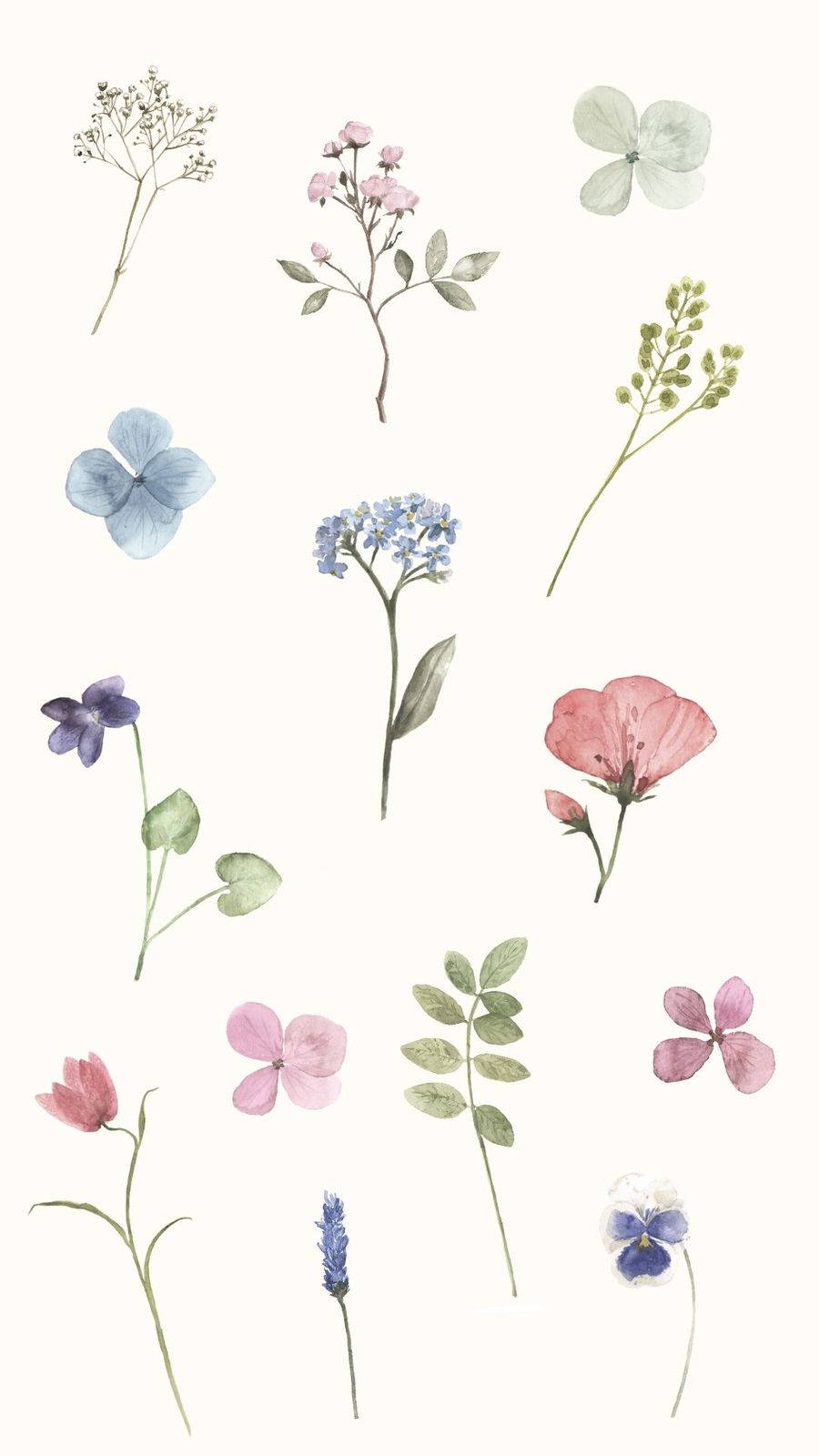Download Add a Pop of Color and Style to Your Spring Look Wallpaper ...