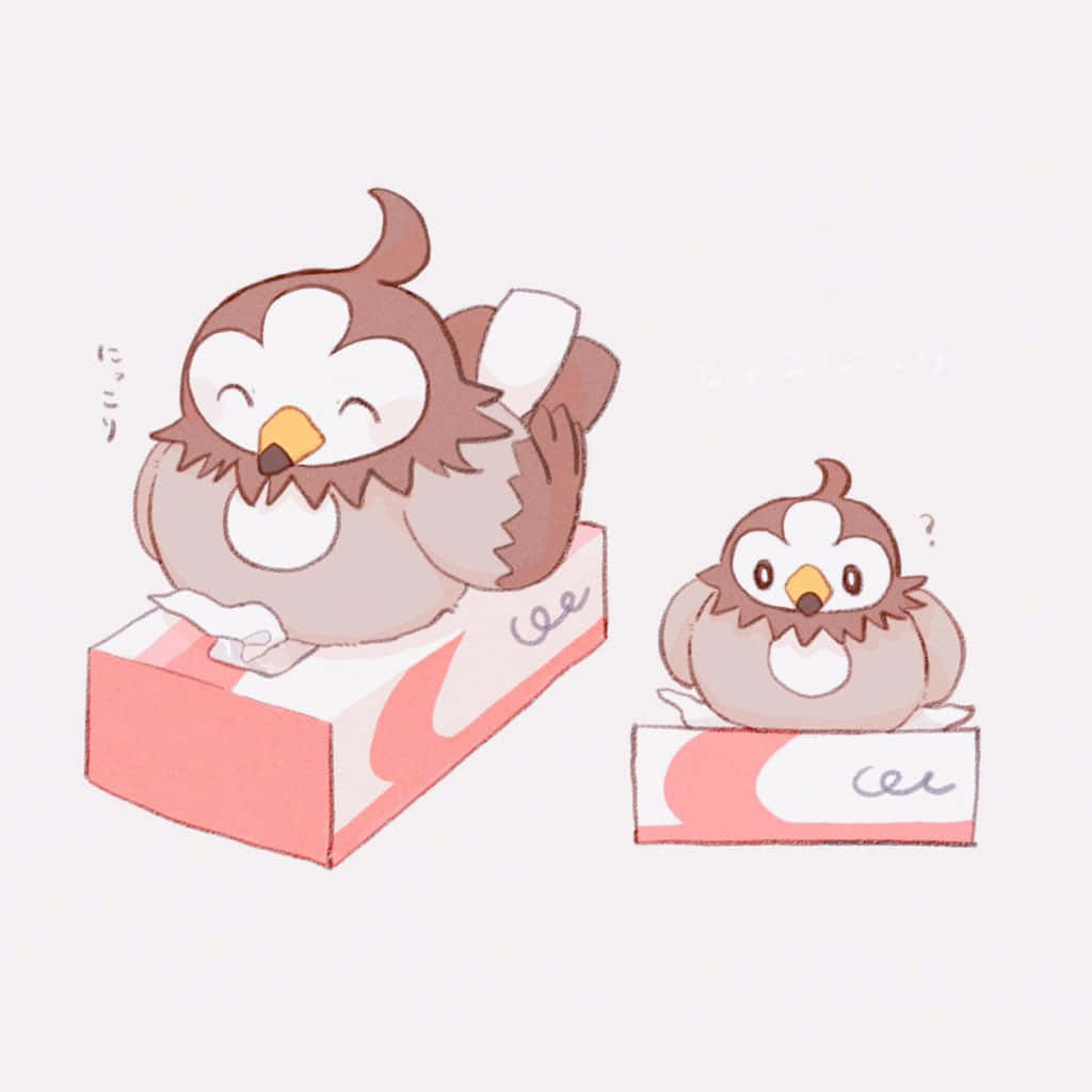 Cute Starly On Tissue Box Wallpaper