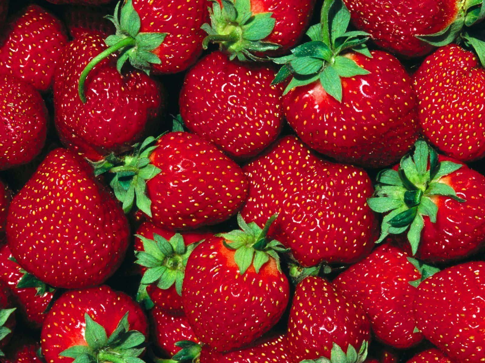 Saftige og farverige søde jordbær Wallpaper