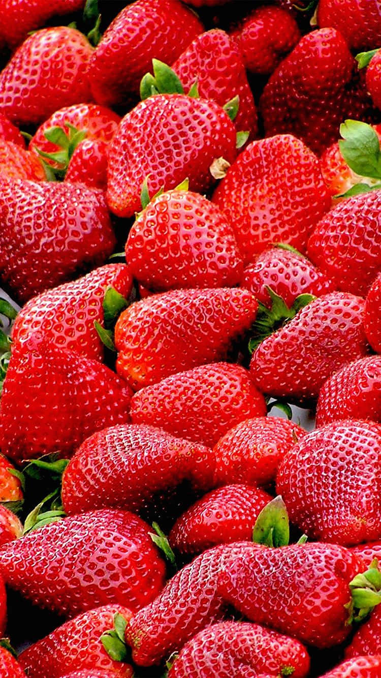 Eineniedliche Erdbeere, Die Vor Süße Platzt! Wallpaper