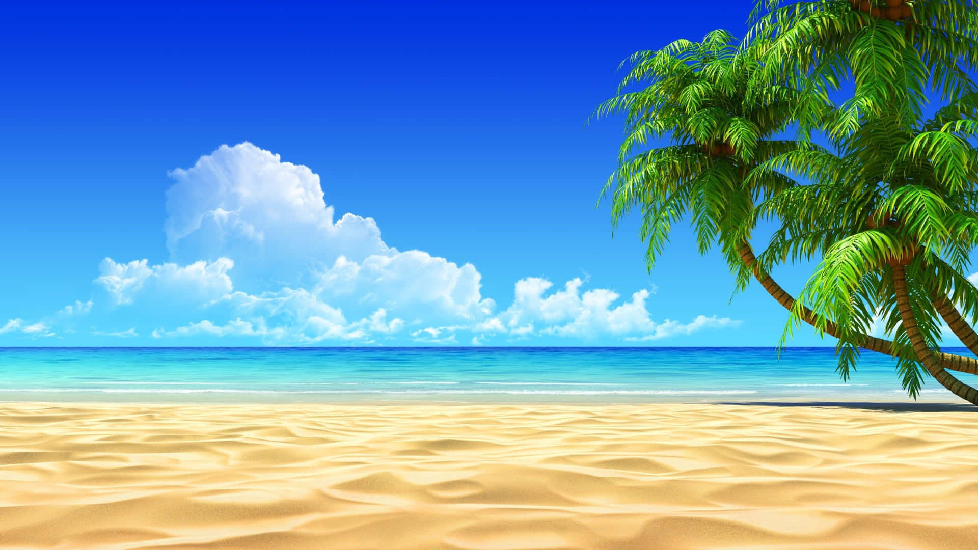 ¡disfrutade Un Día Soleado En La Playa! Fondo de pantalla