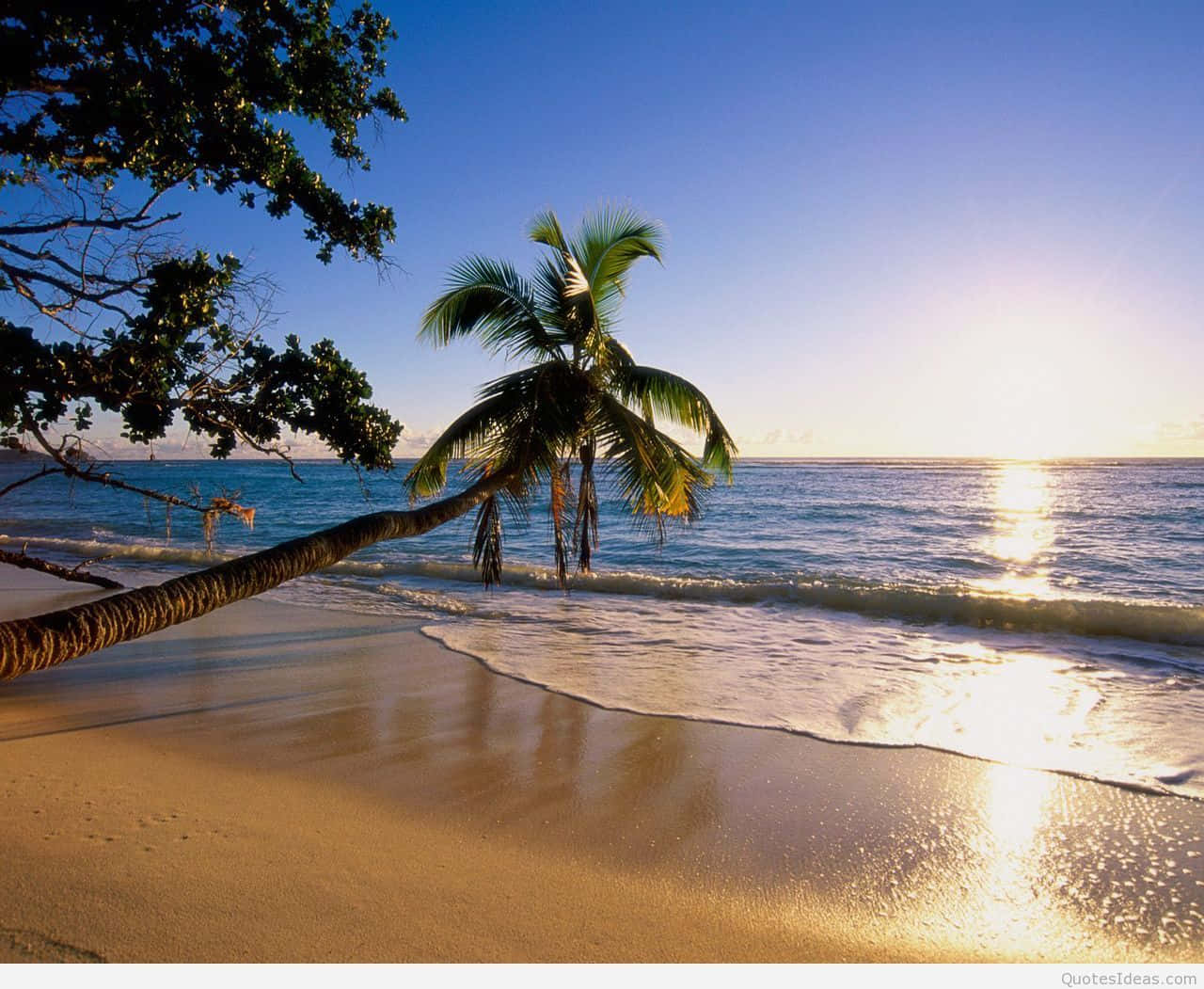 ¡disfrutadel Día De Verano Y Camina En La Playa! Fondo de pantalla