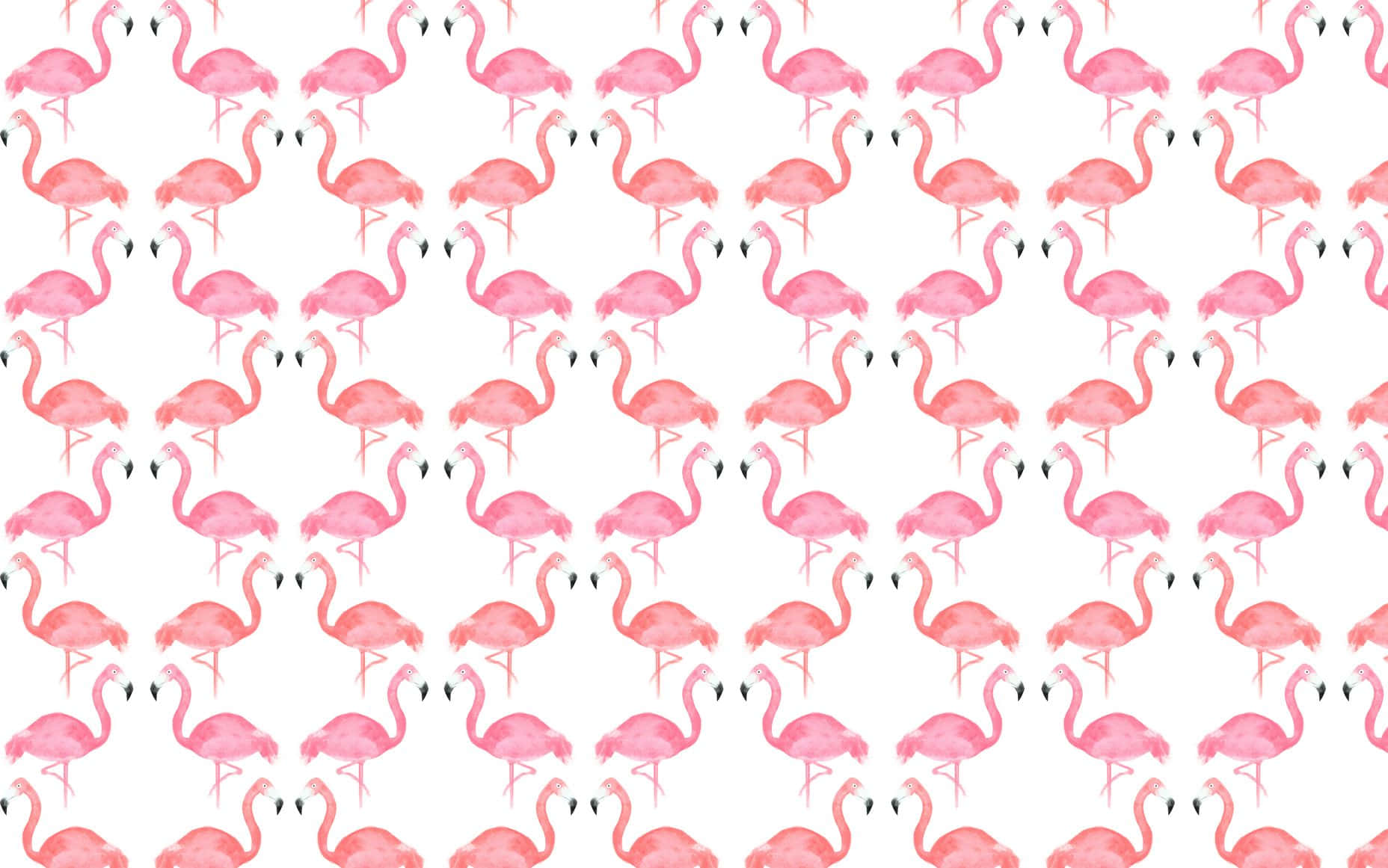 Niedlichedesktop-hintergrundbilder Mit Rosa Flamingos Für Den Sommer. Wallpaper