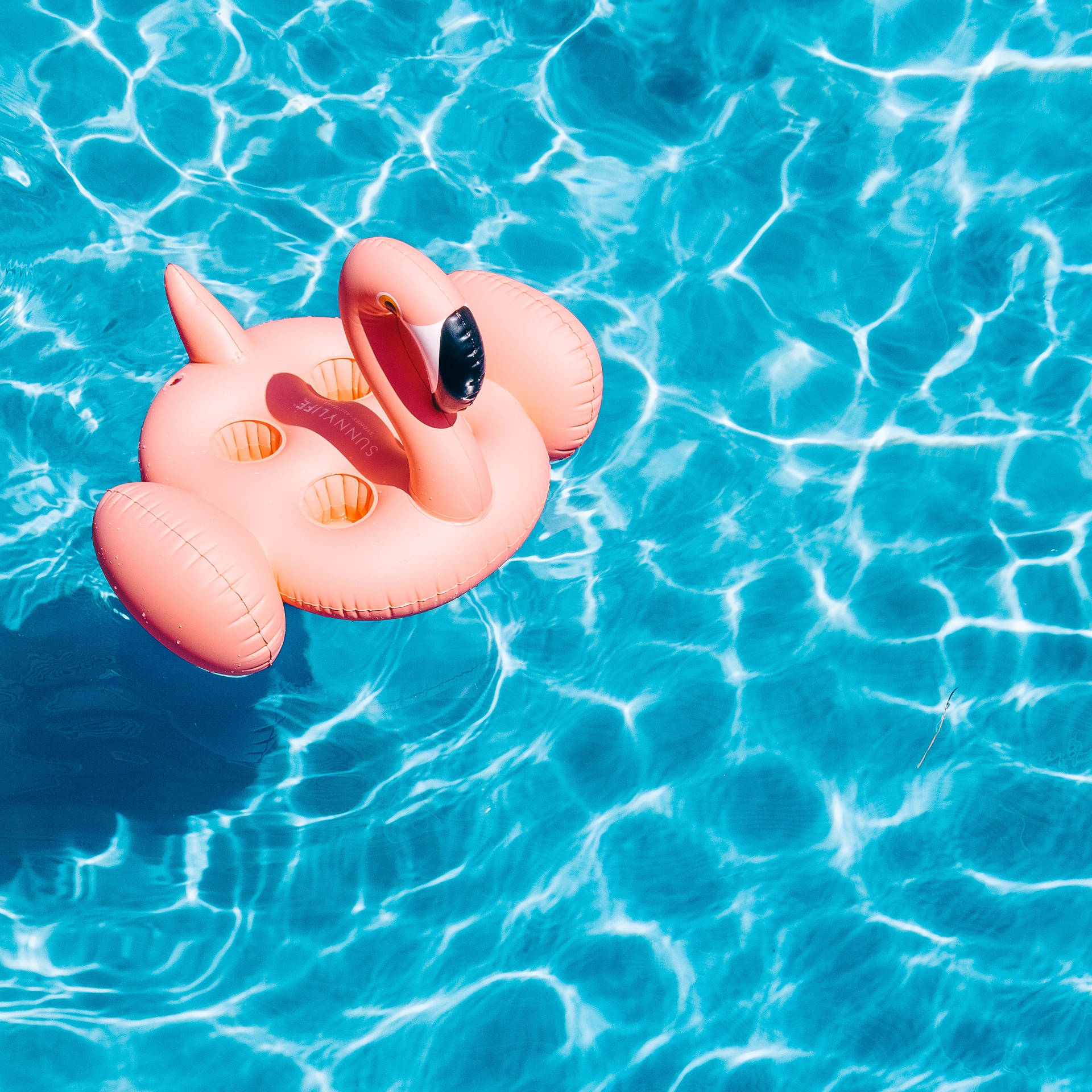 Cute Summer Flamingo Floater Wallpaper