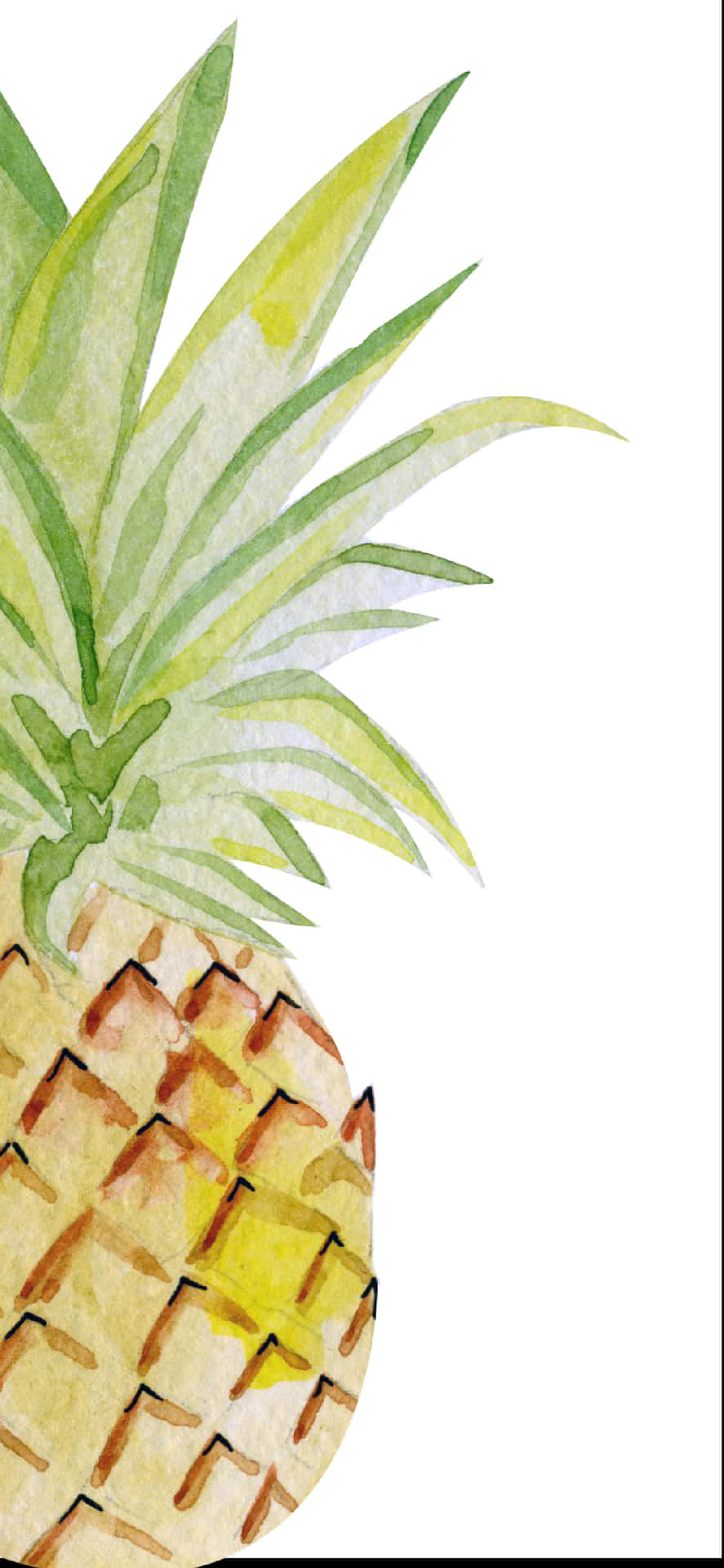 Watercolor Pineapple Clip Art Wallpaper