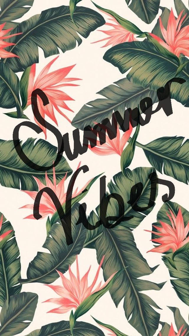 Cute Summer Vibes Wallpaper