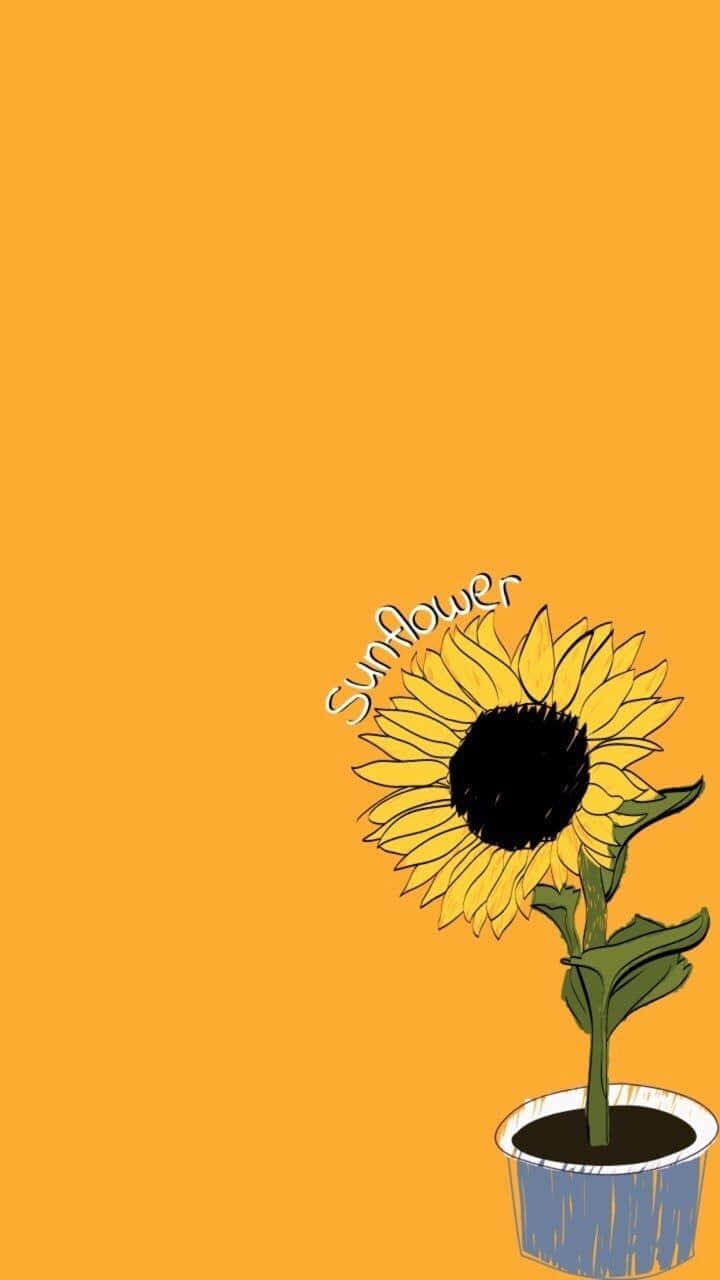 An adorable sunflower resting in a field Wallpaper