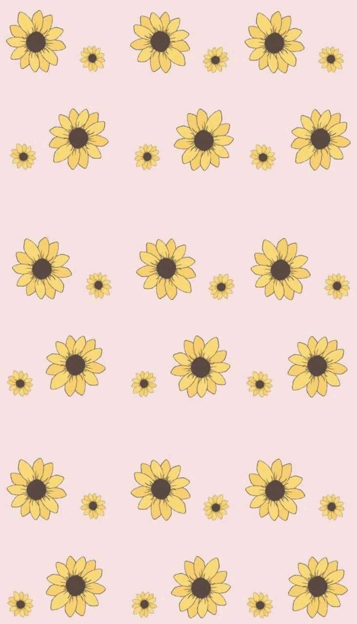 Take a moment to appreciate the beauty of a sunflower - or many sunflowers! Wallpaper