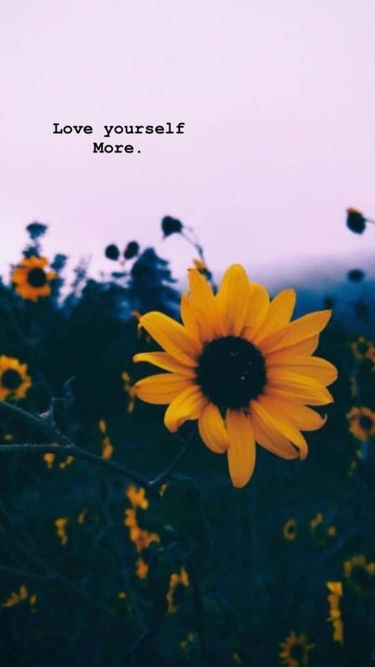 A bright and cheerful sunflower stands tall against a cloudless sky. Wallpaper