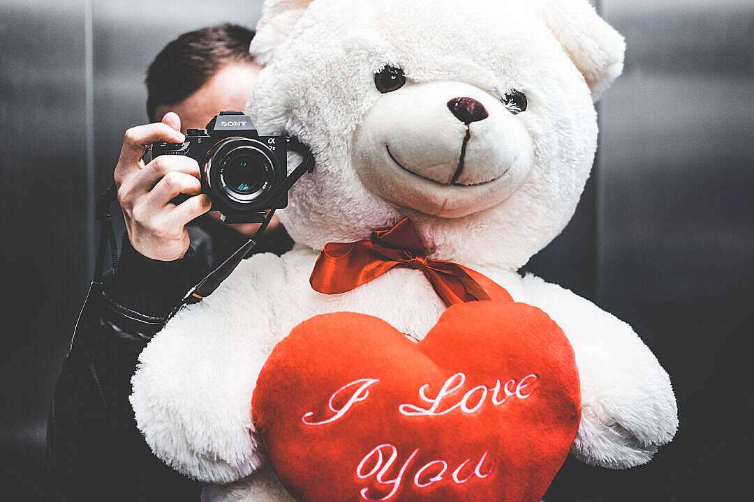 Cute Teddy Bear And A Woman Taking Photo Wallpaper