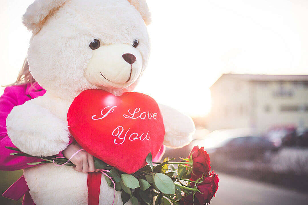 Cute Teddy Bear With Roses Wallpaper