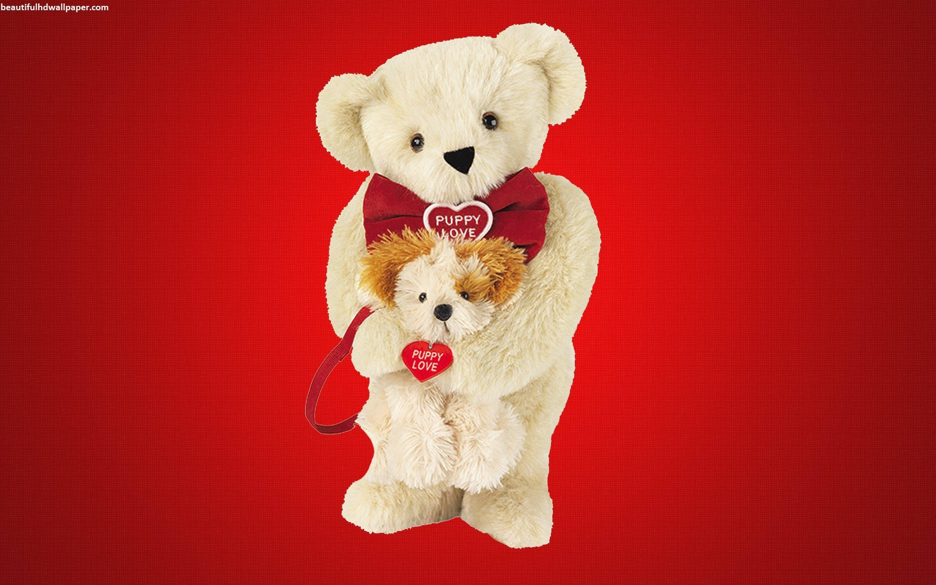 Enjoy The Love Of February With These Cute Teddy Bears Wallpaper