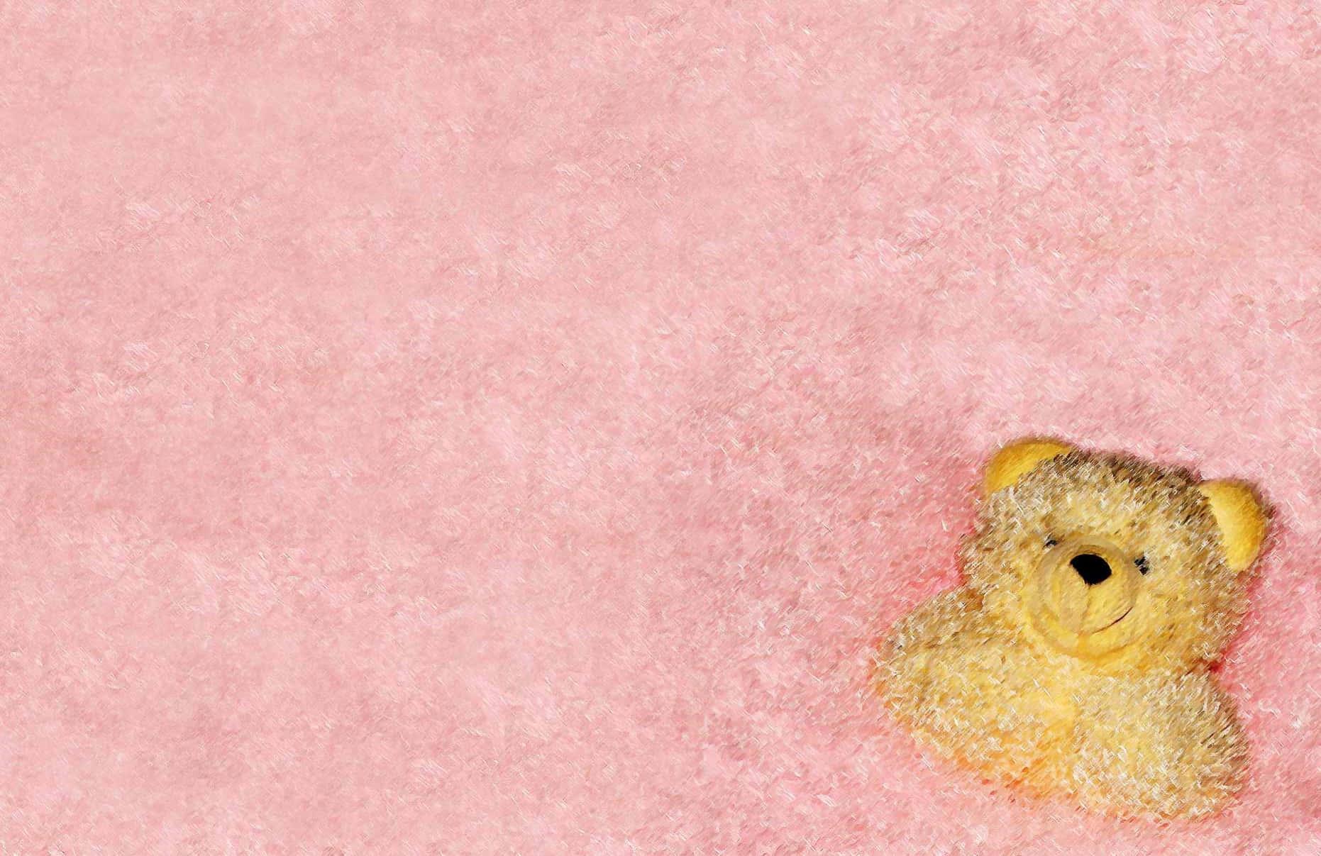 Unosito De Peluche En Un Fondo Rosa