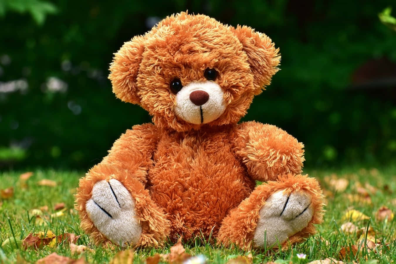 Show off your cuddly side with this cute teddy bear!