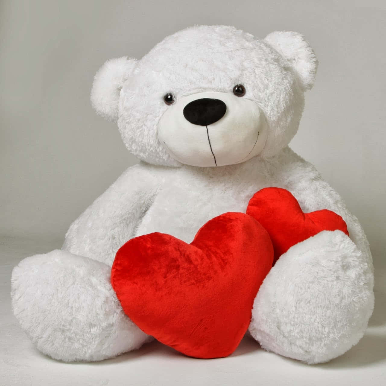 Heartwarming teddy that will win your heart in no time