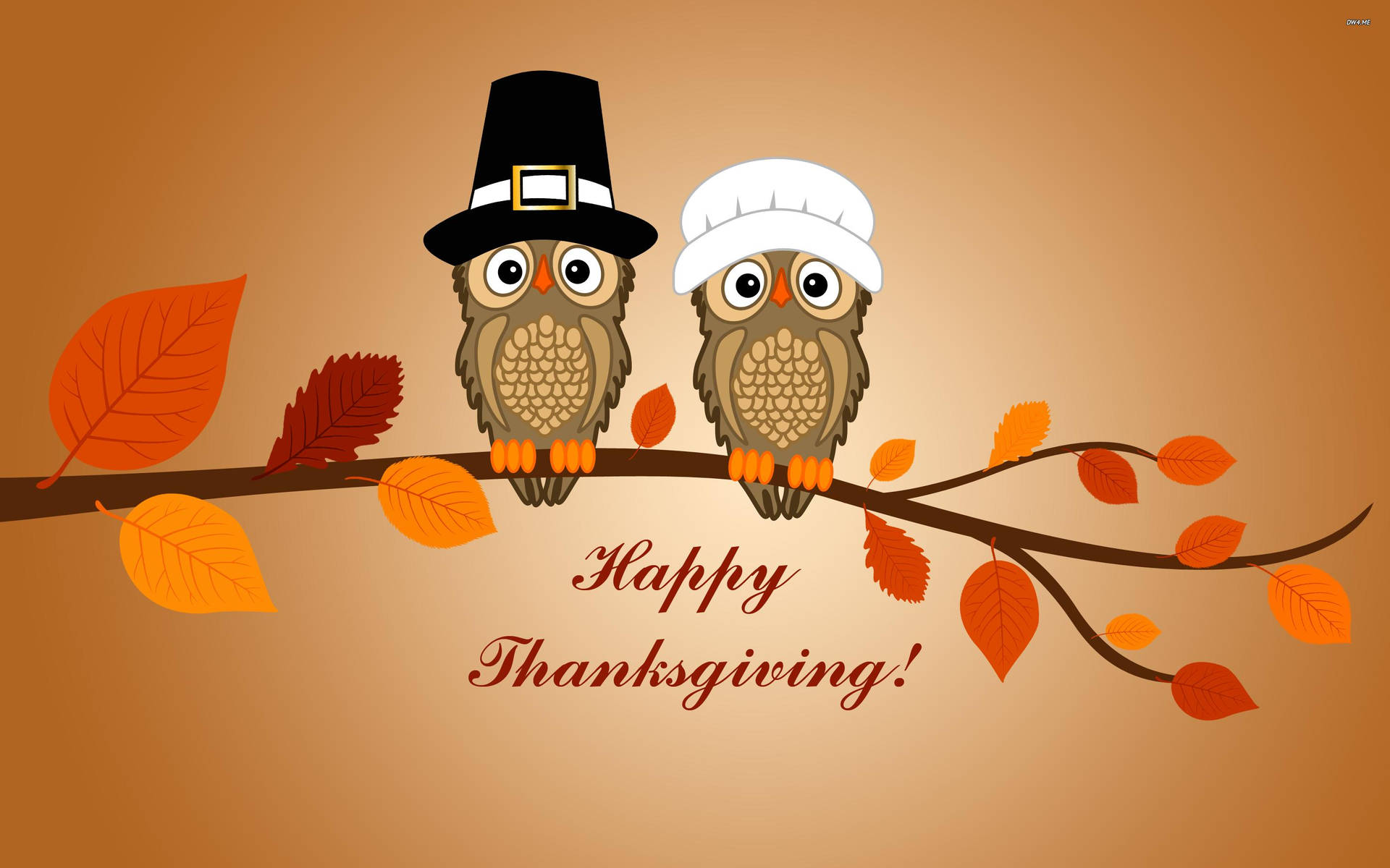 Cute Thanksgiving Owl Art Wallpaper