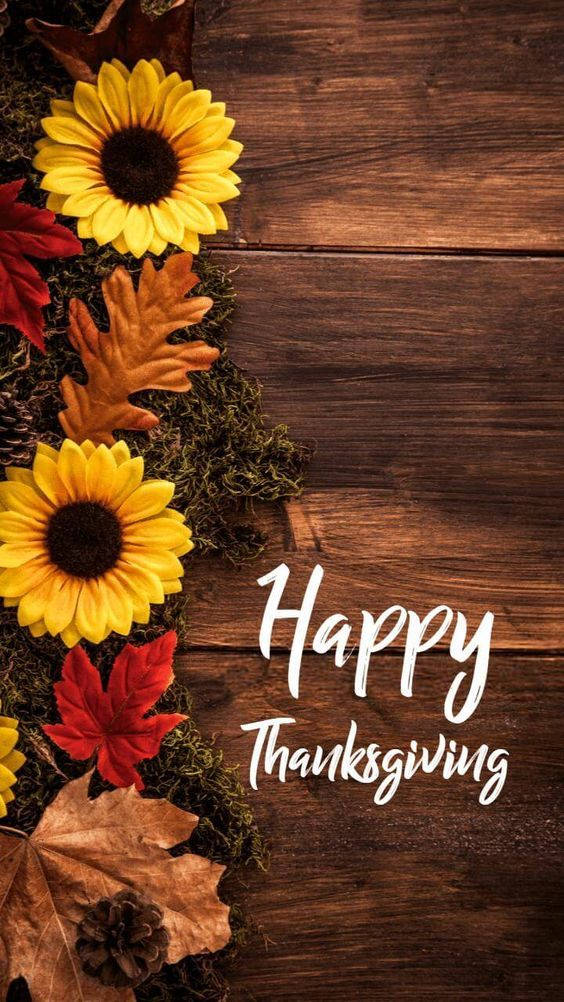 Cute Thanksgiving Sunflowers Wallpaper