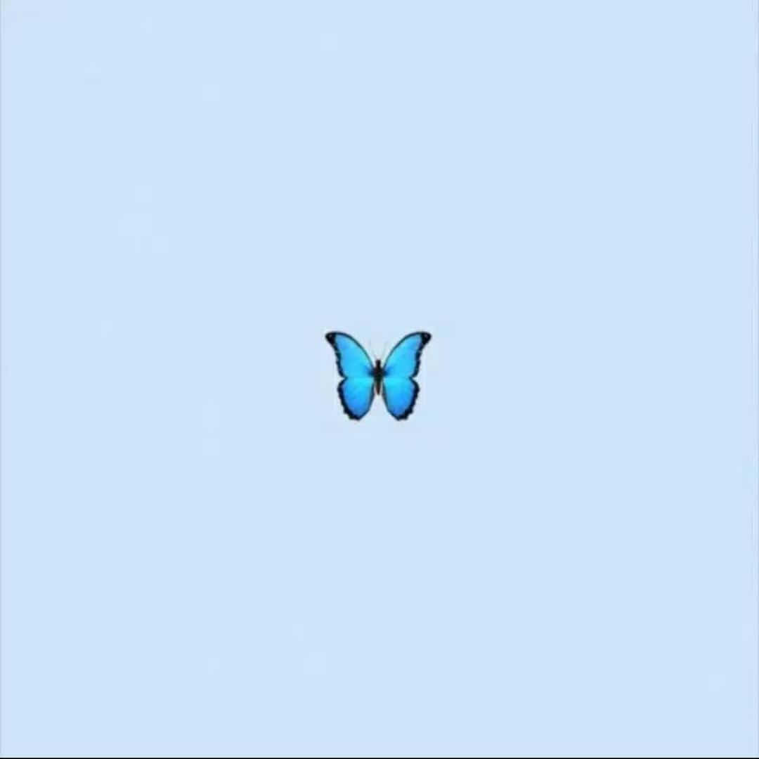 Niedlicheskleines Schmetterlings-tiktok-profilbild