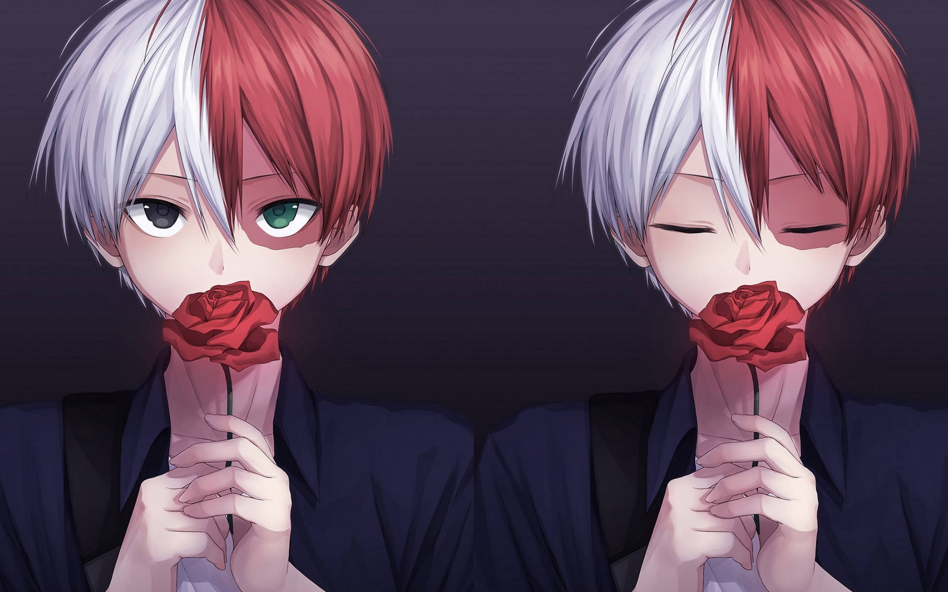 Cute Todoroki Holding Red Rose