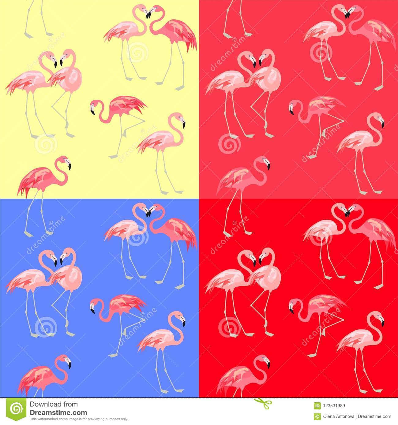 Four Flamingos In Different Colors Wallpaper