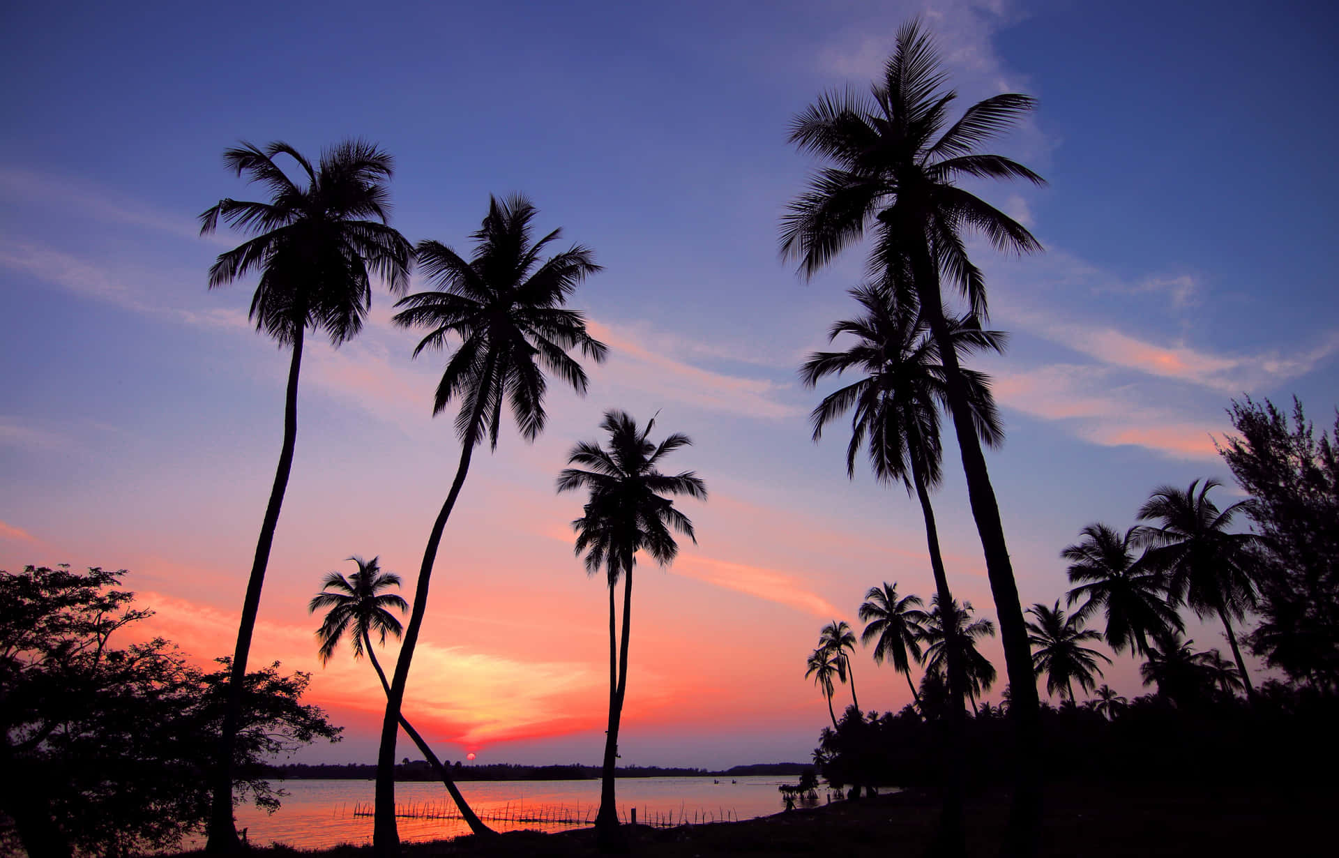 Nyd den tropiske solnedgang sammen med dem du elsker. Wallpaper