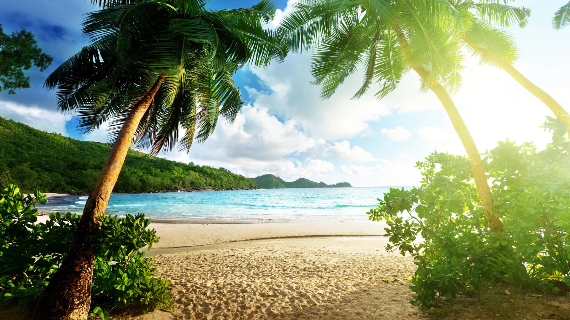 En idyllisk tropisk strand. Wallpaper