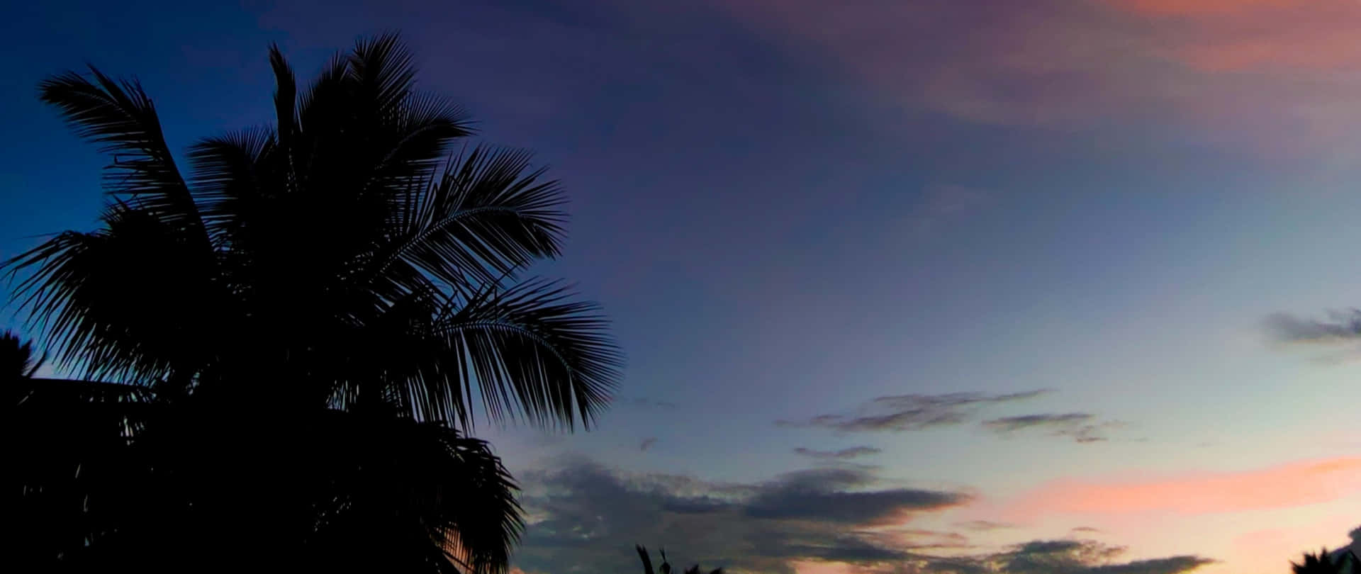 Cute Tropical Silouette Sky Wallpaper