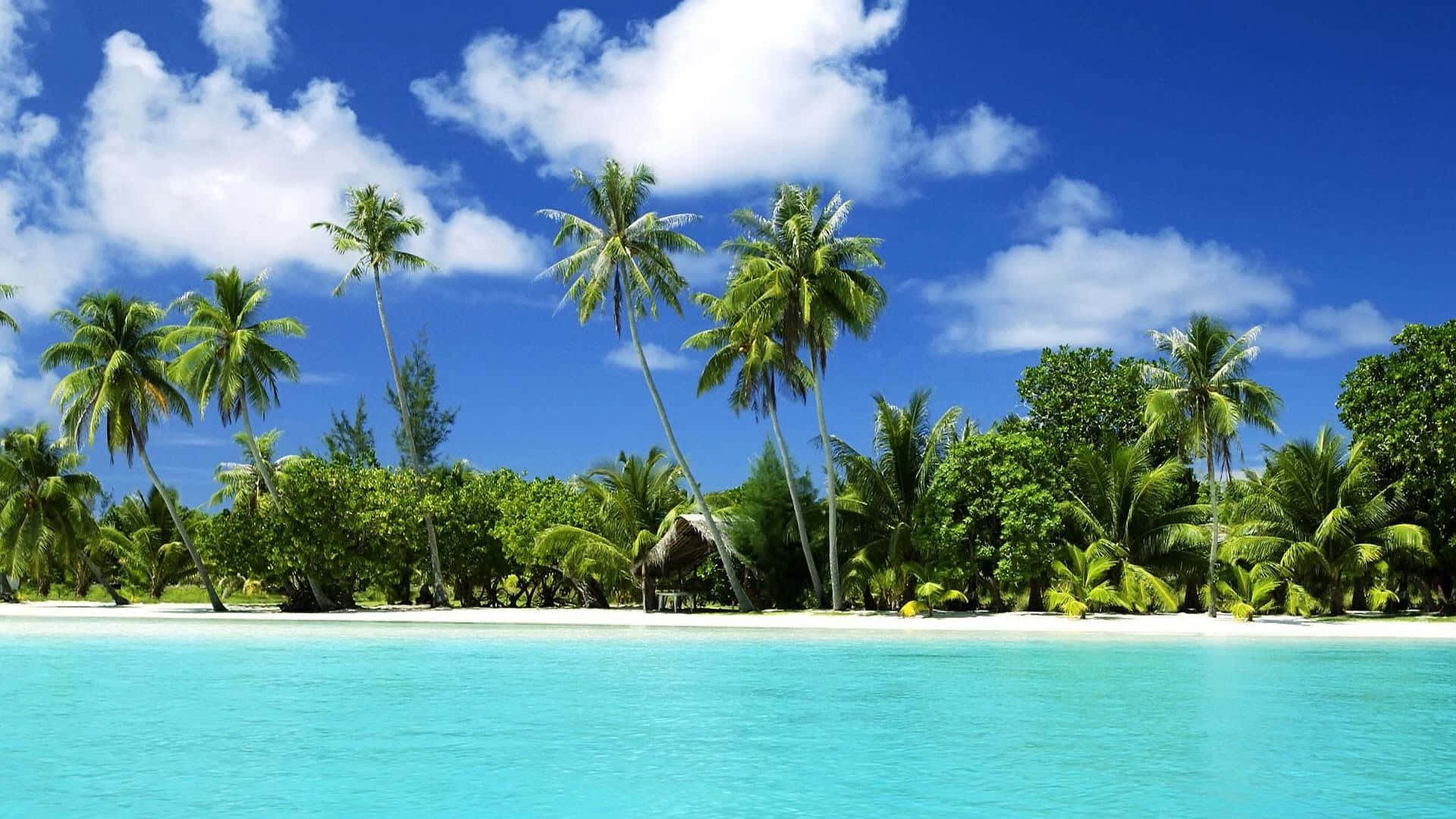 Disfrutade Un Momento De Felicidad Con Unas Vacaciones En Un Lindo Paraíso Tropical. Fondo de pantalla