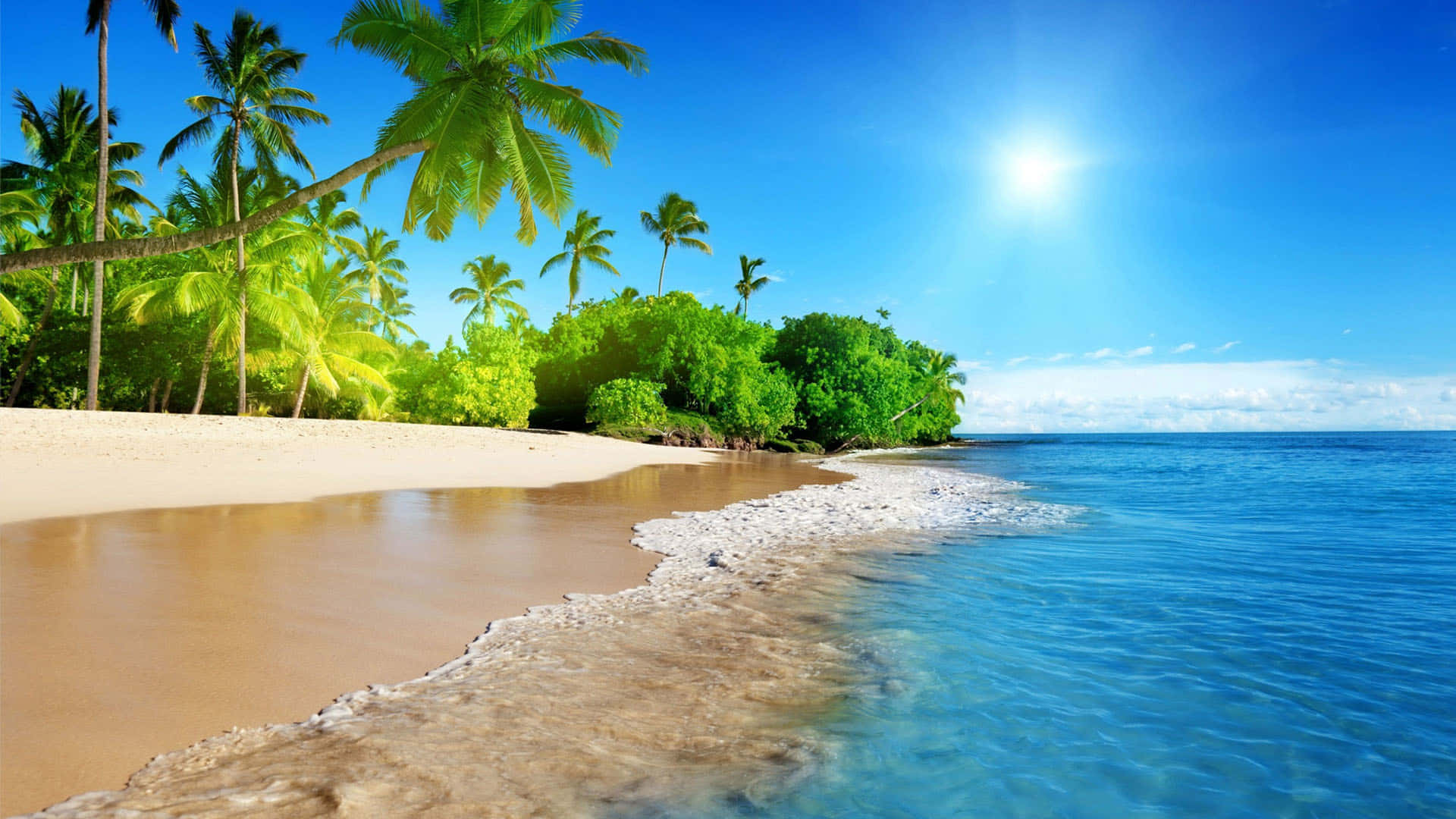 Palmasulla Spiaggia In Una Carinissima Isola Tropicale. Sfondo