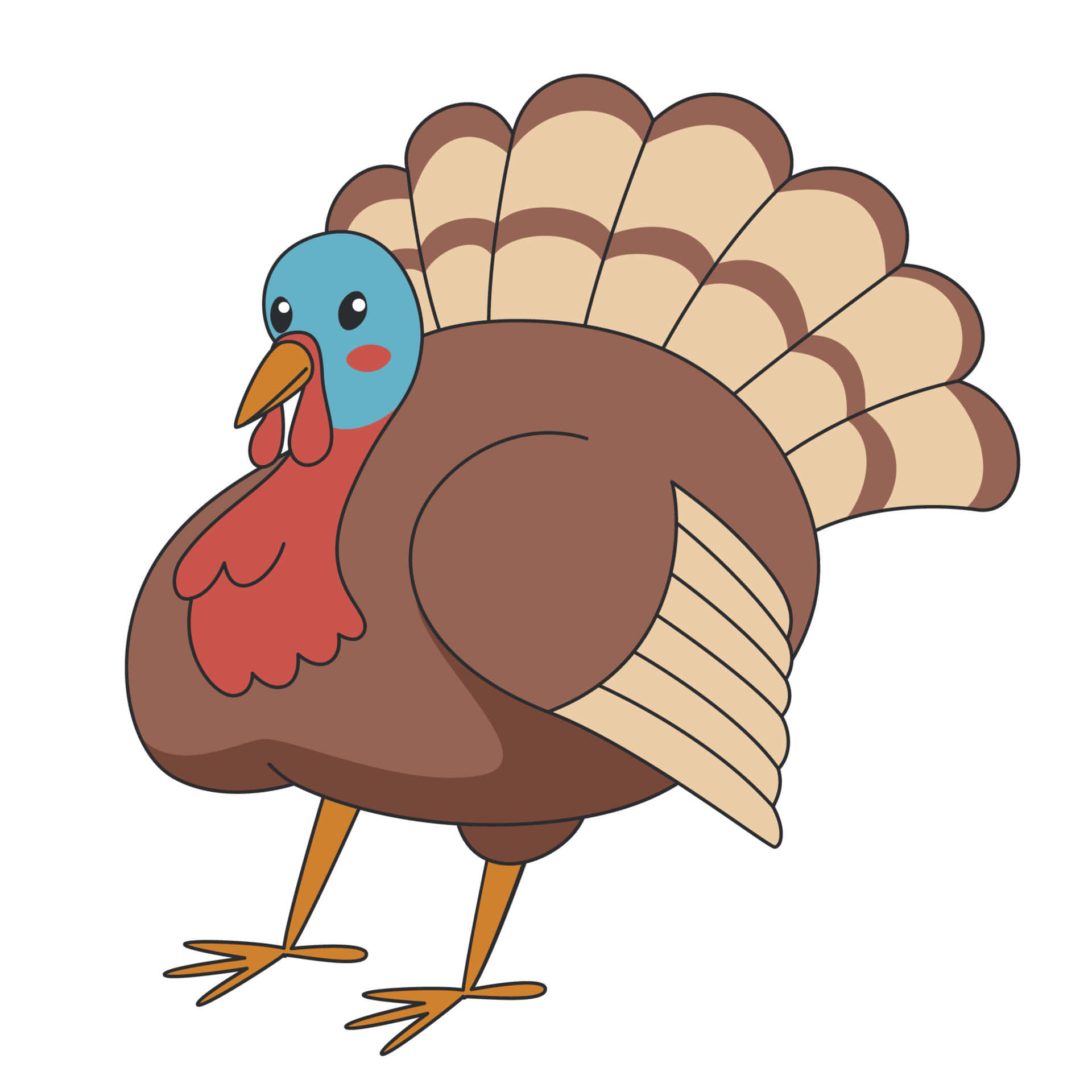 Cute Turkey Smiling Illustration Picture