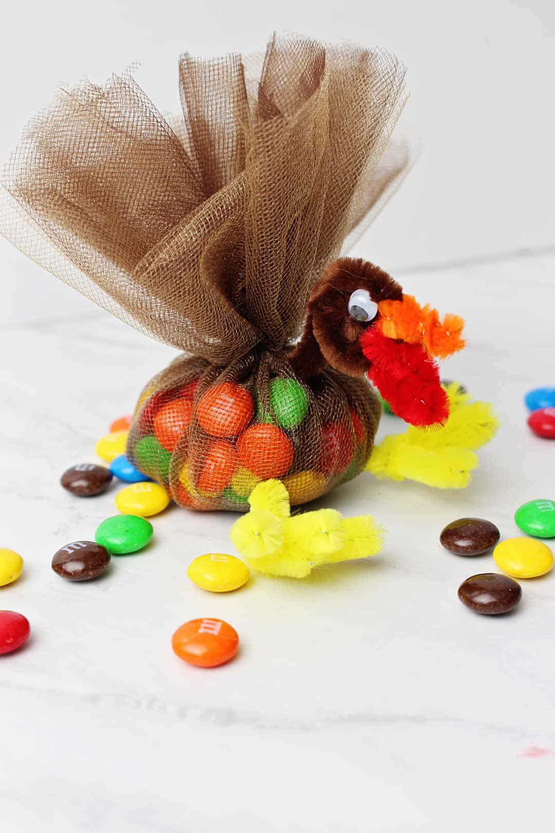 Cute Turkey Candy Container Picture