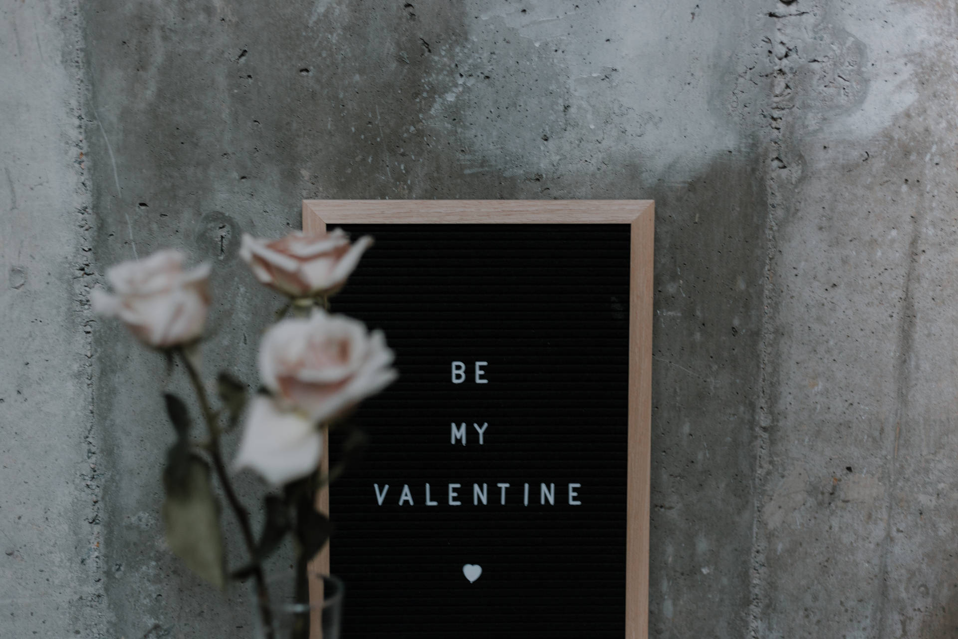 Cute Valentine's Day White Roses Frame Wallpaper