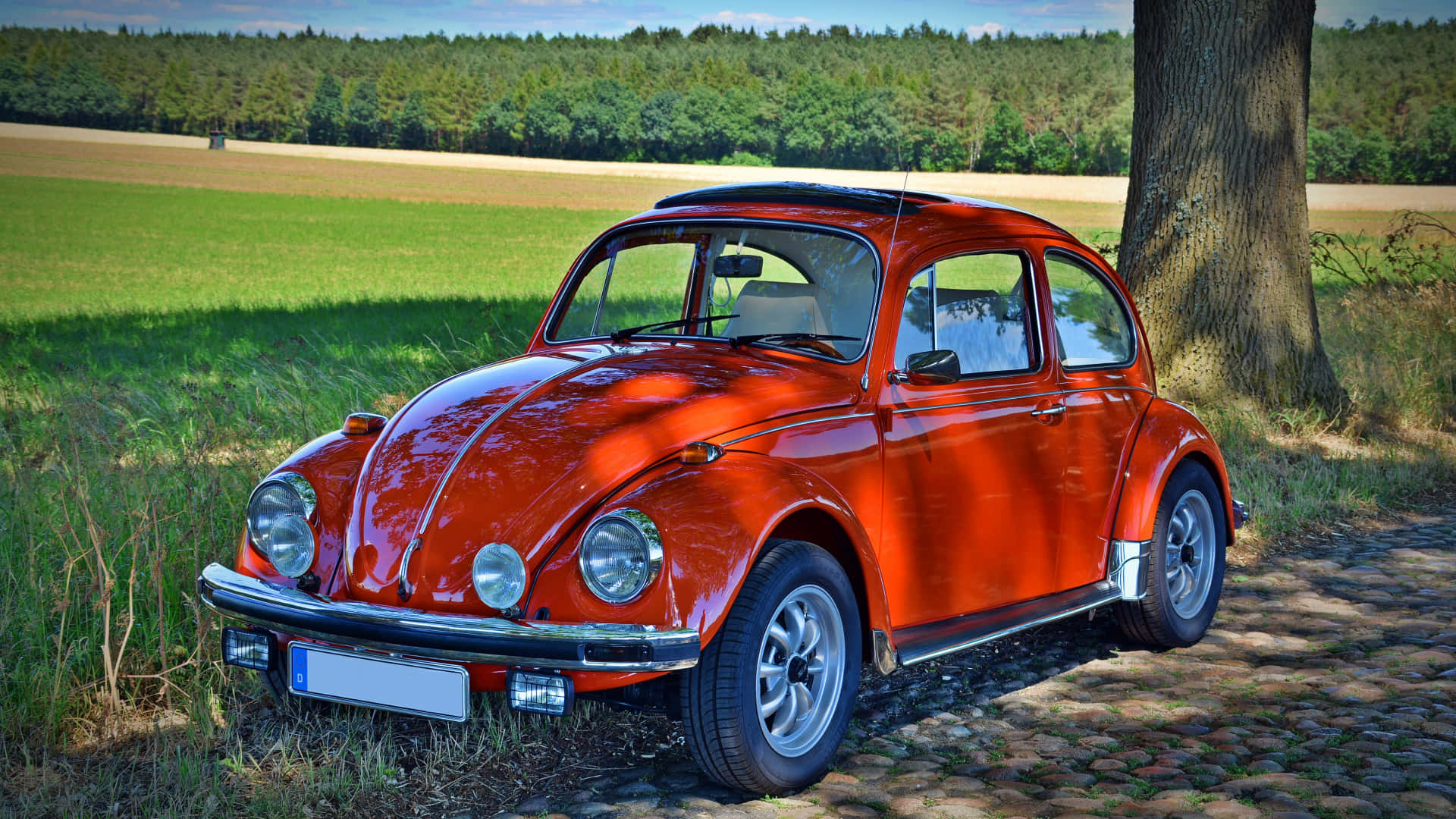 Carinovintage Volkswagen Rosso Sfondo